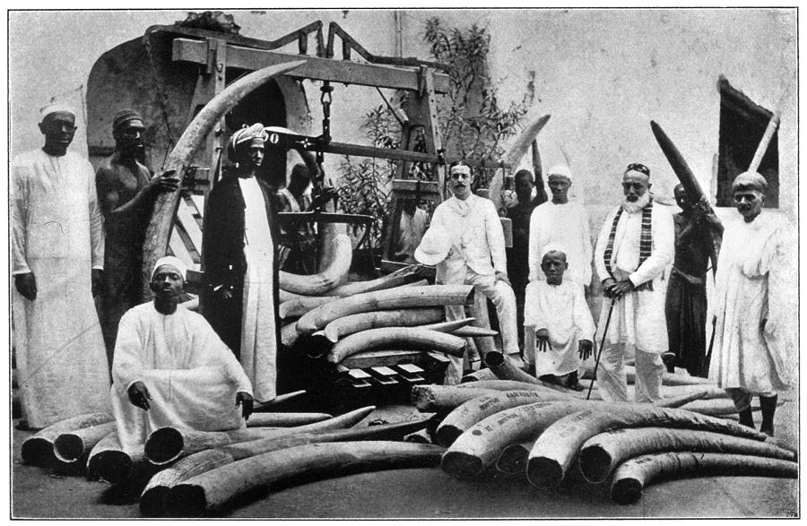 1890 Photograph - Africa Ivory Trade, C1900 by Granger