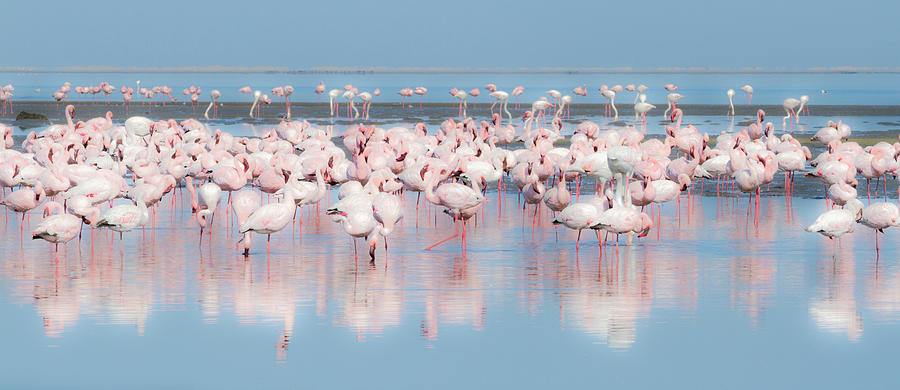 Africa, Namibia, Walvis Bay Photograph by Jaynes Gallery