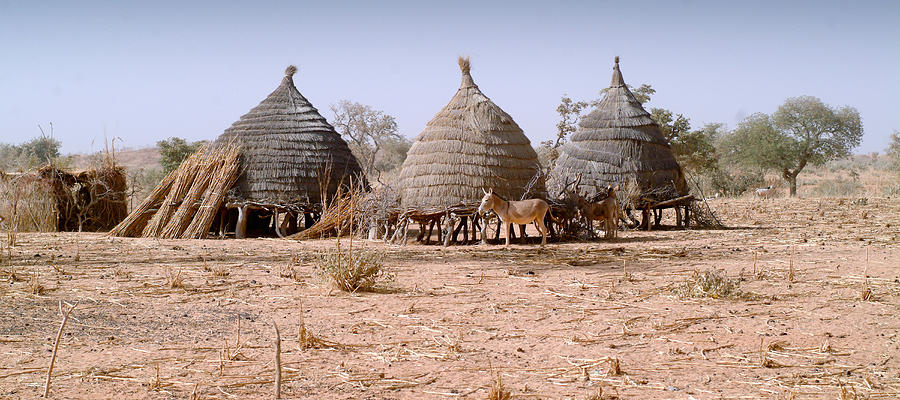 Africa, Sahara Desert, North Africa, Niger, View Of Village Homes (Year 2007) Photograph by Kypros