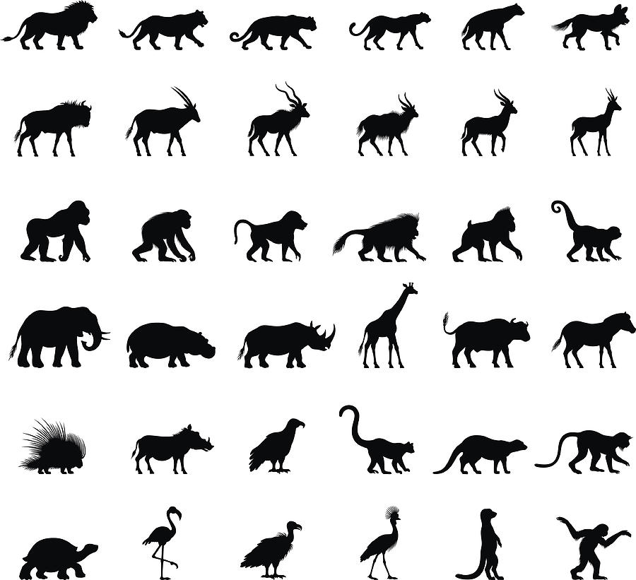 African Animal Silhouettes Drawing by AlonzoDesign