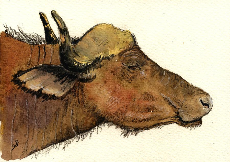 Buffalo Painting - African buffalo head by Juan  Bosco
