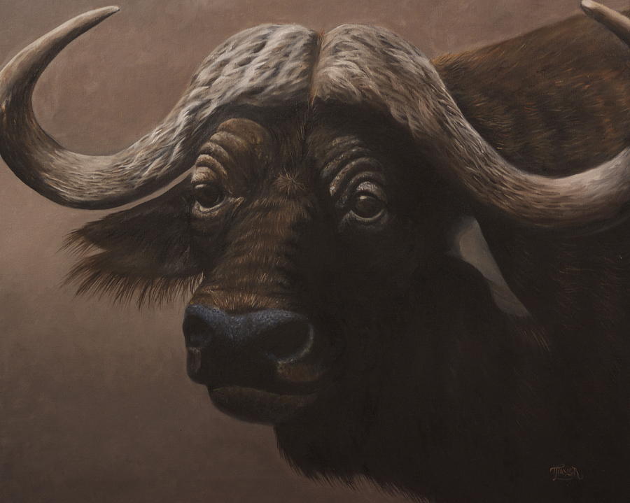 African Buffalo Painting by Tammy Taylor