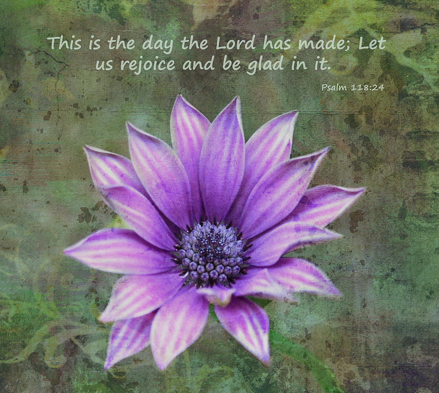 African Daisy With Scripture Photograph by Sandi OReilly