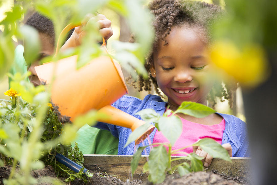 African descent children gardening outdoors in spring. Photograph by Fstop123