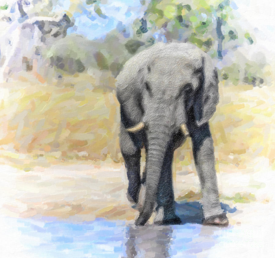 African elephant at waterhole Digital Art by Liz Leyden