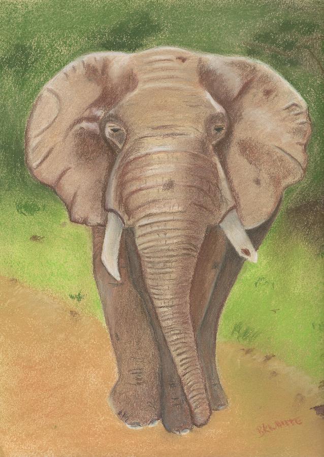 African Elephant Painting by Brian White