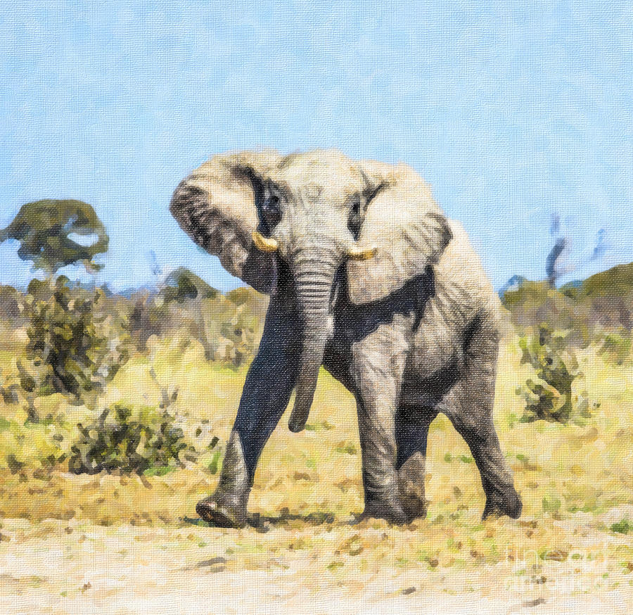 African elephant bull mock charging Digital Art by Liz Leyden
