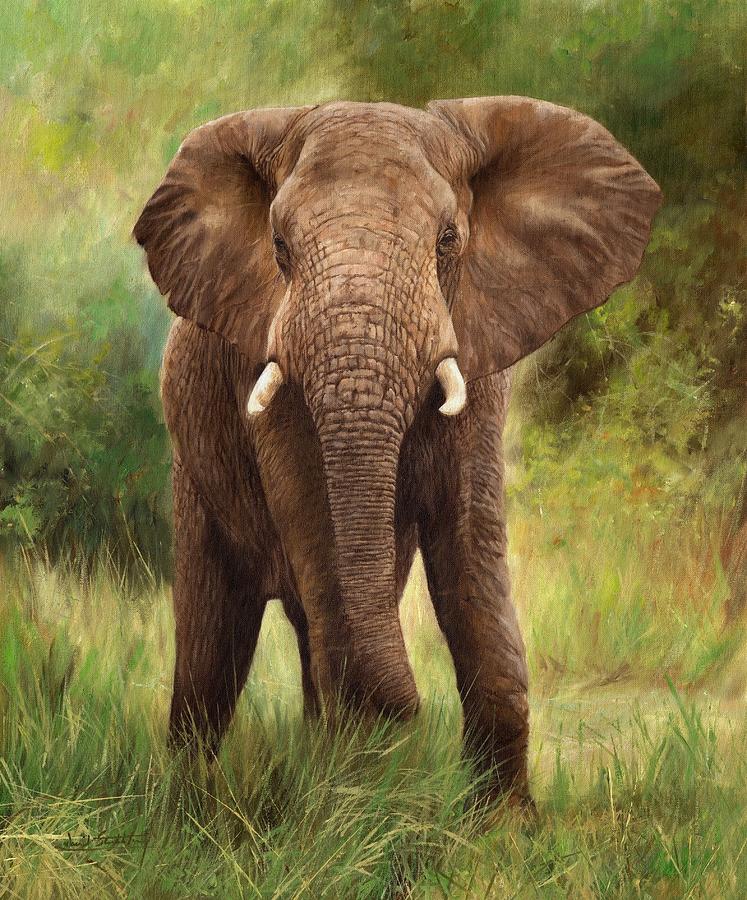 Wildlife Painting - African Elephant by David Stribbling