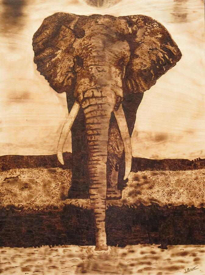 African Elephant Pyrography by Iliev Petkov | Fine Art America