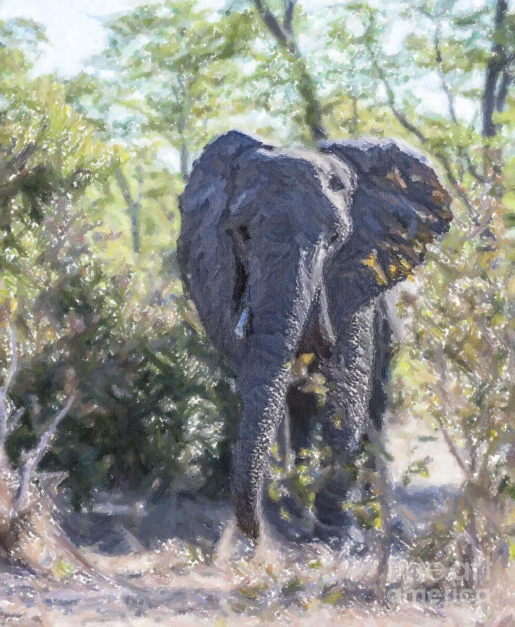 African Elephant in Miombo woodland Digital Art by Liz Leyden