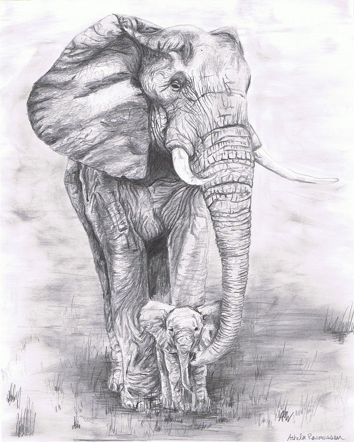 modern day tanks elephant drawing