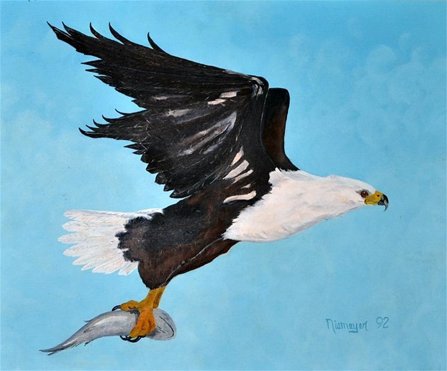 African Fish Eagle Painting by Larry Niemeyer