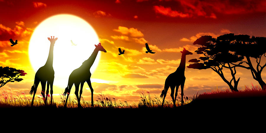 African Giraffes silhouettes safari against hot sun Drawing by Chuvipro
