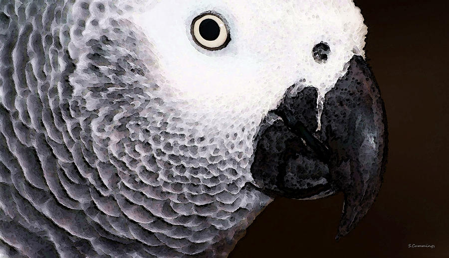 African Gray Parrot Art - Seeing Is Believing Painting by Sharon Cummings