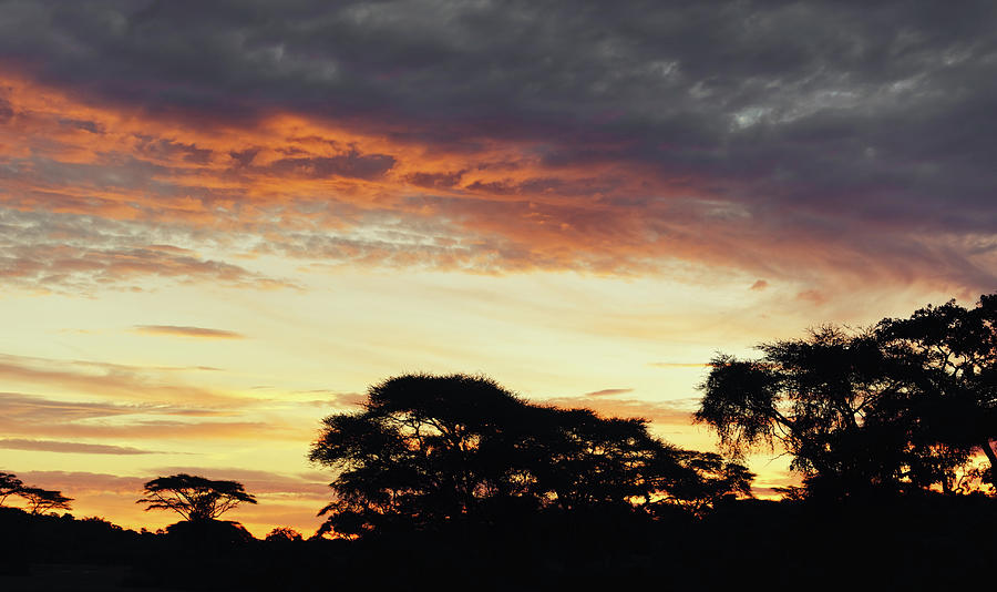 African Landscape With Acacia Trees At Photograph by Brytta - Fine Art ...