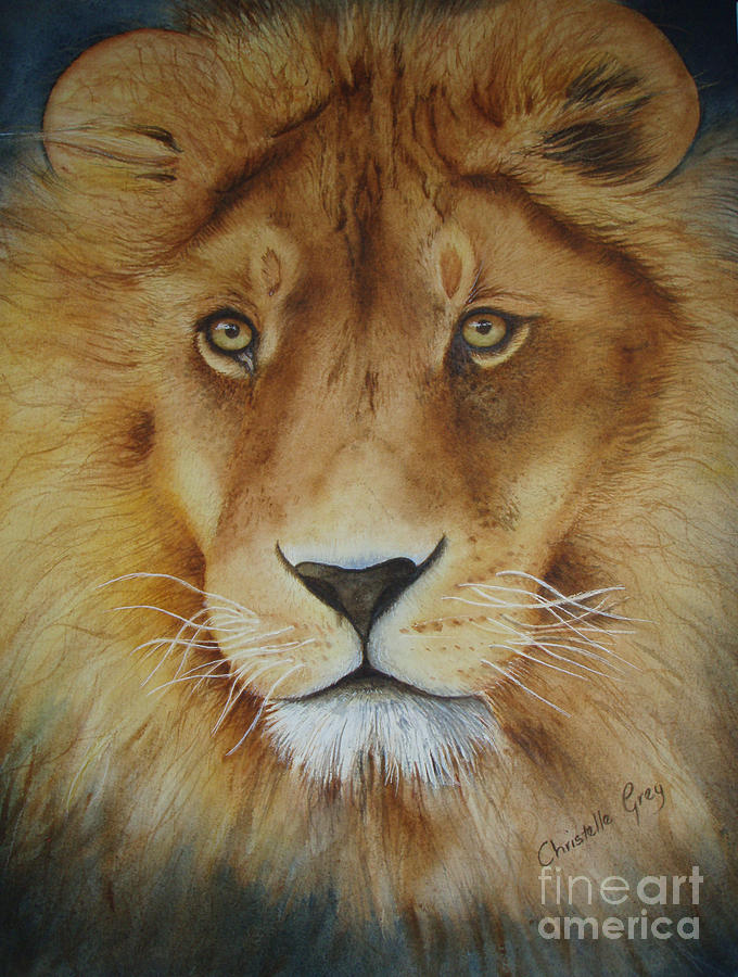 Animal Painting - African Lion by Christelle Grey