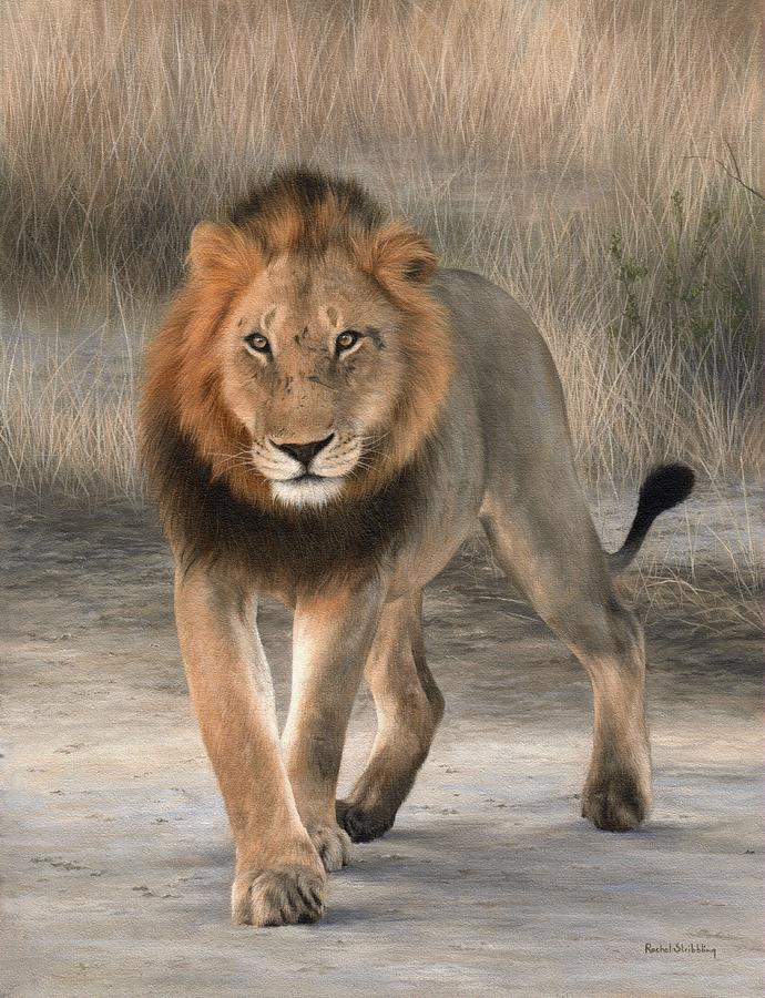 Nature Painting - African Lion Painting by Rachel Stribbling