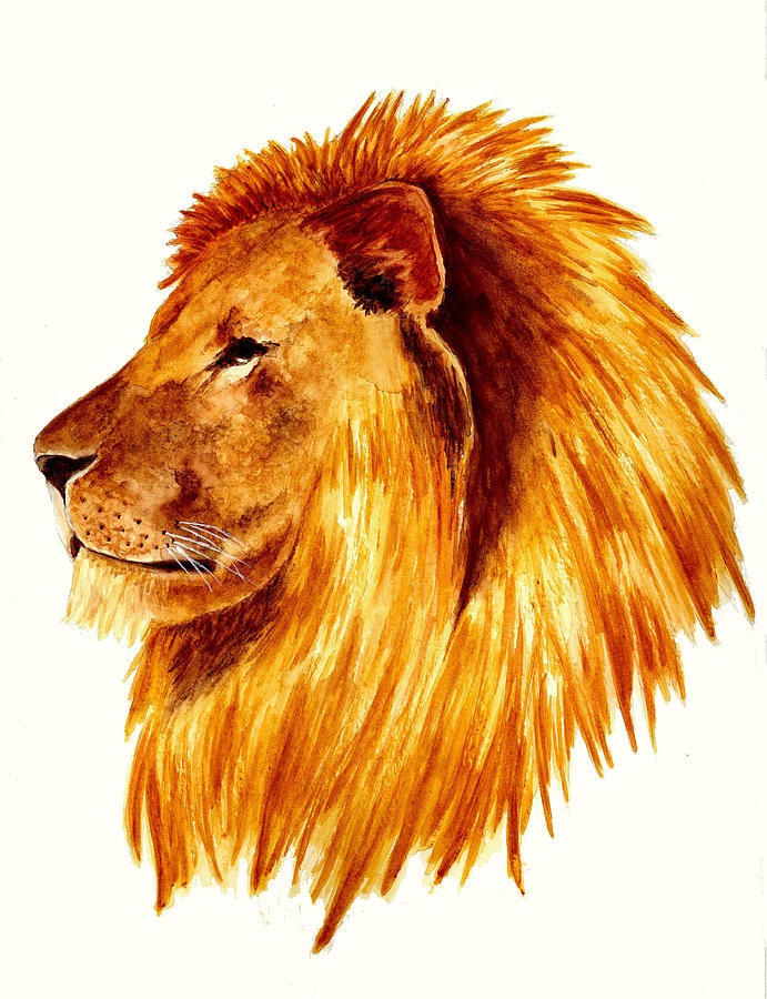 Animal Painting - African Male Lion by Michael Vigliotti