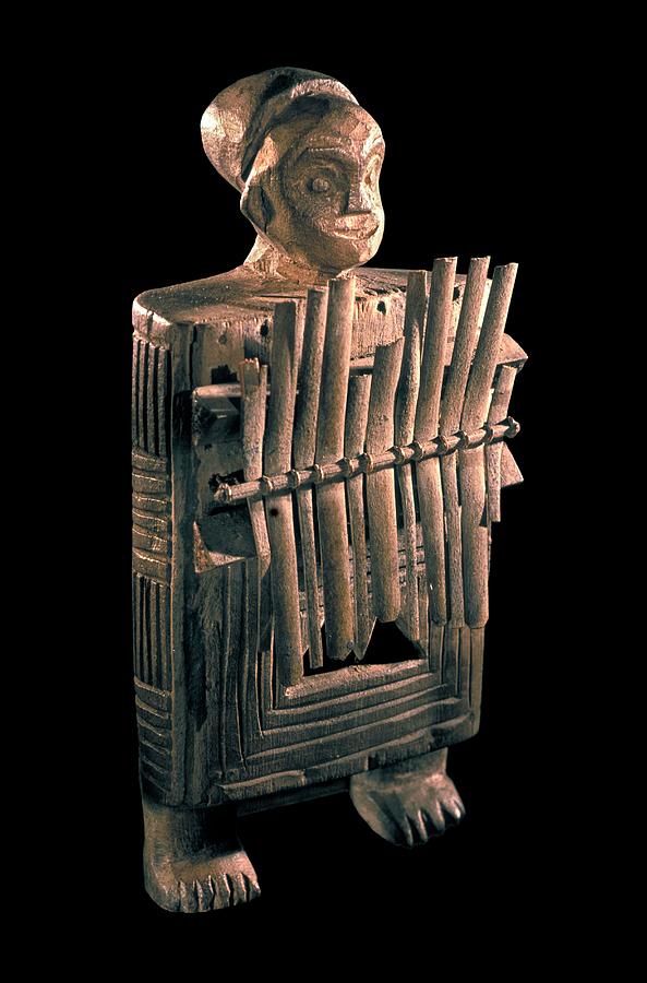African Musical Instrument Photograph by Patrick Landmann/science Photo Library