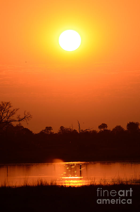 African Orange Sunset Photograph by Tom Wurl
