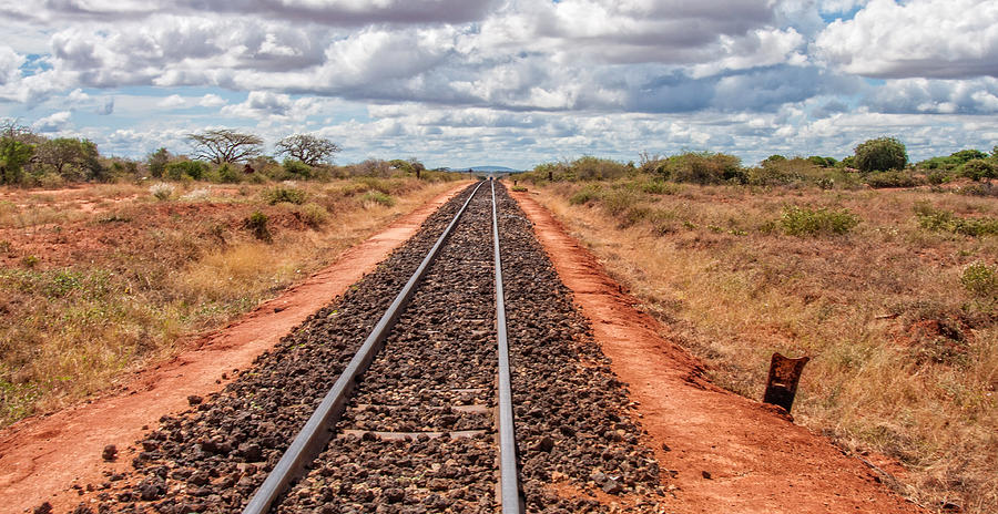 African Railroad Photograph by Alex Hiemstra