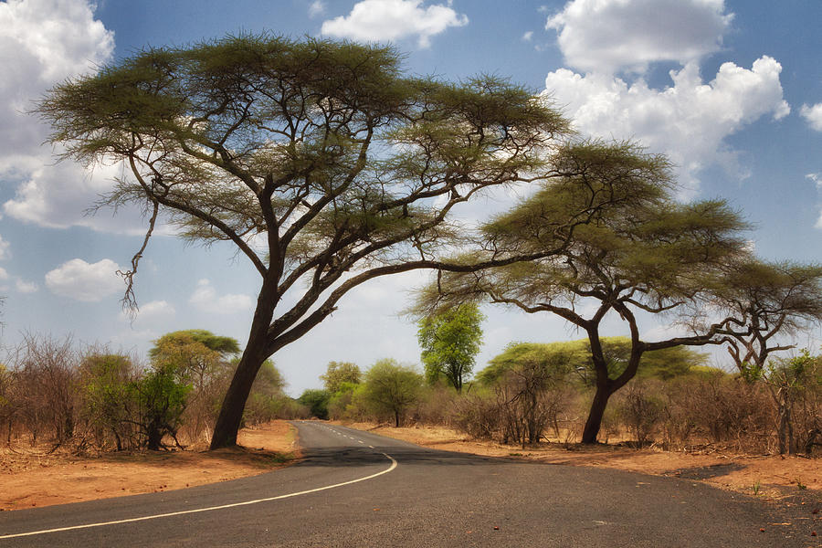 African Road Photograph by Marzena Grabczynska Lorenc