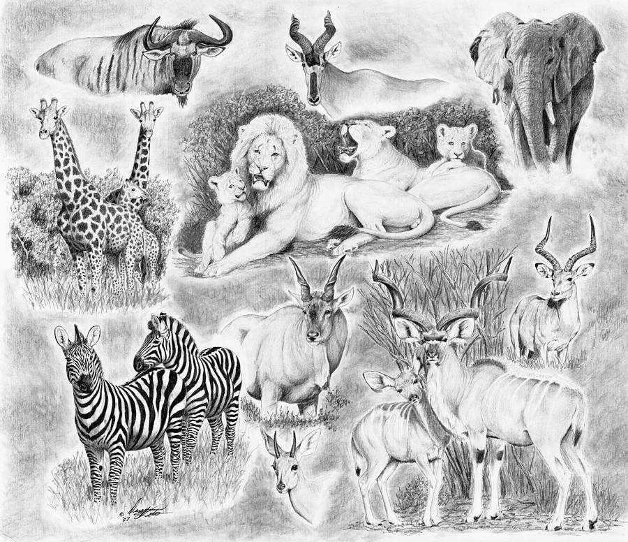 African Safari Drawing by Darcy Tate