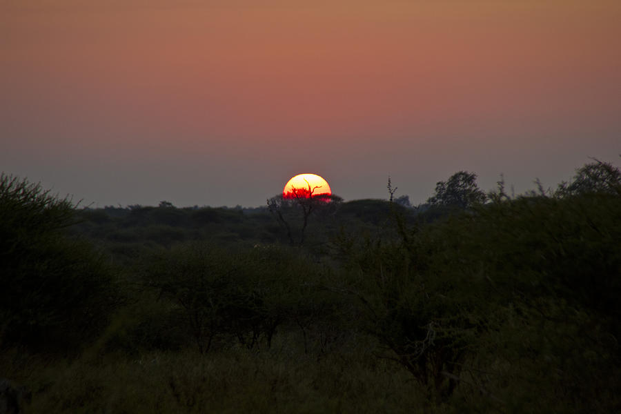 African Sunrise Photograph by John Stuart Webbstock