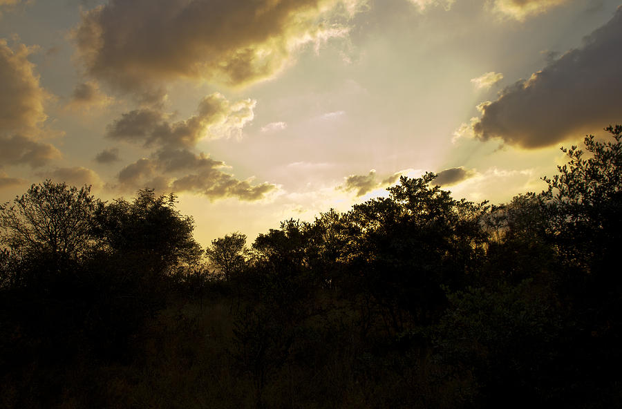 African Sunset #2 Photograph by John Stuart Webbstock