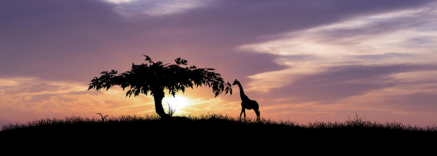 African Sunset Digital Art