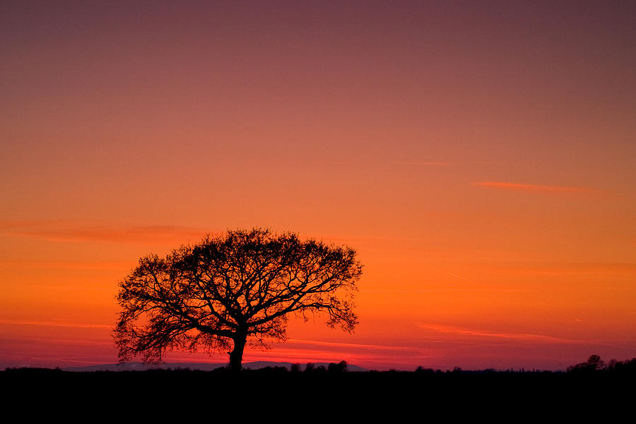 African sunset Photograph by Davorin Mance