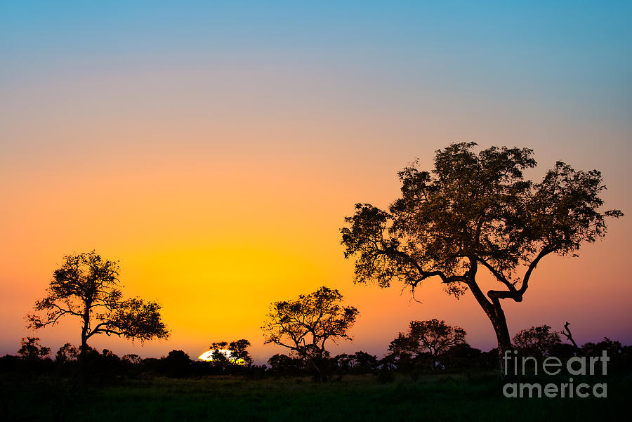 Sunset Photograph - African Sunset by Delphimages Photo Creations Sunset Photograph - African Sunset by Delphimages Photo Creations