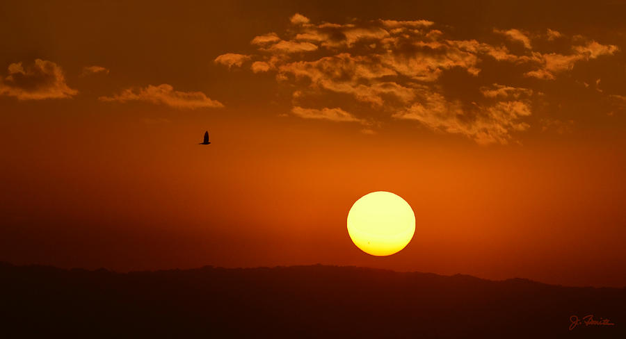 African Sunset Photograph by Joe Bonita