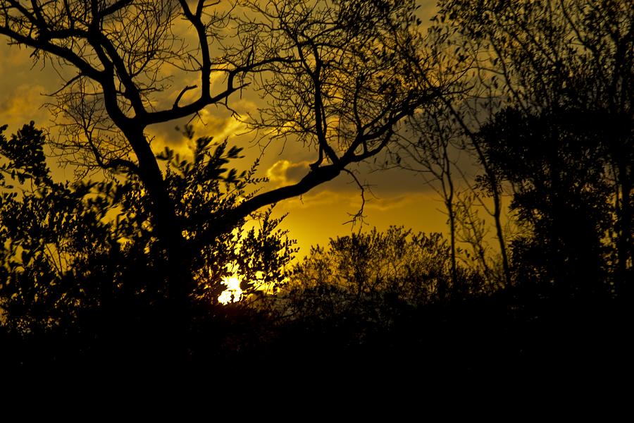 African Sunset Photograph by John Stuart Webbstock