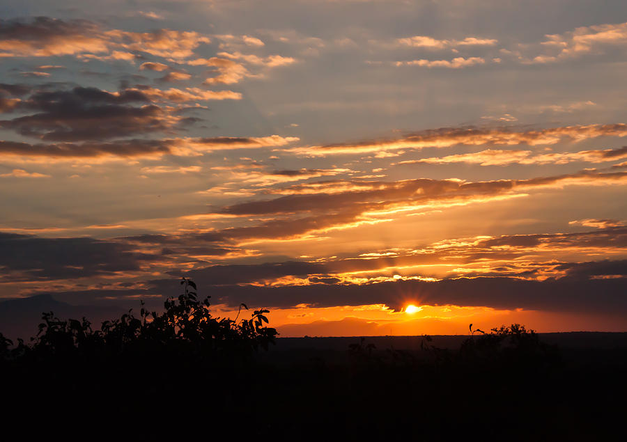 African Sunset Photograph by Kathy Hutchings - Fine Art America