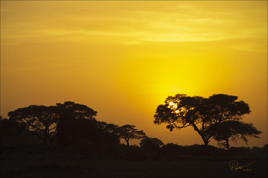 African Sunset Photograph by PiperAnne Worcester