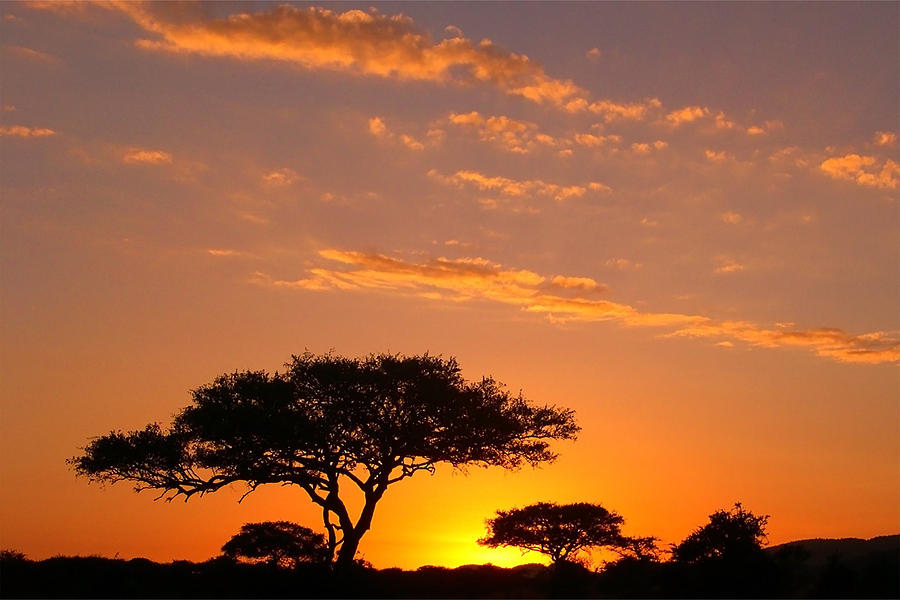 African Sunset Photograph by Sebastian Musial