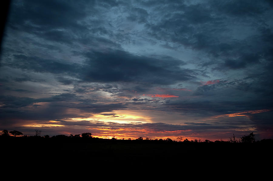 African Sunset by Stevenallan