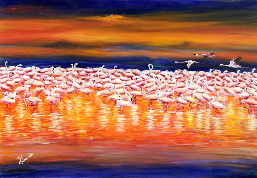 Flamingo Painting - African Sunset by Tal Alperovitch