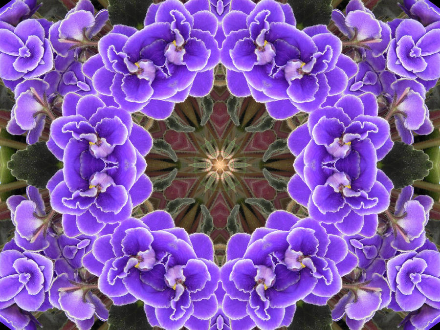 African Violet Mandala Digital Art by Diane Lynn Hix