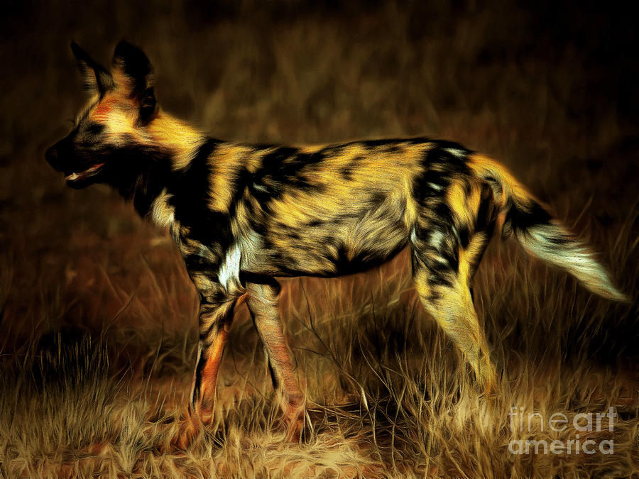 African Wild Dog 20150211brun Photograph by Wingsdomain Art and Photography