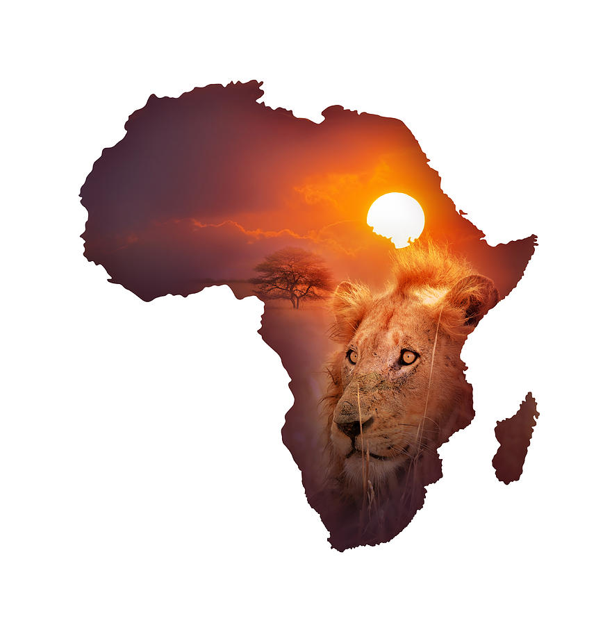 African Wildlife Map Photograph