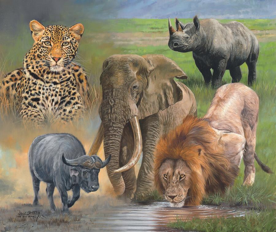 Rhinocerus Painting - Africas Big Five by David Stribbling