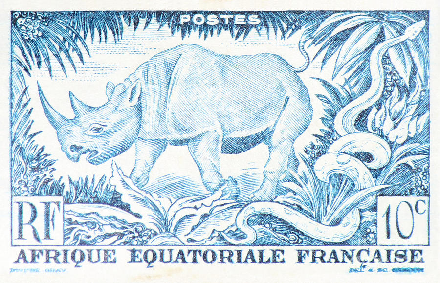 Postage Photograph - Afrique Rhino by Jackie Farnsworth Postage Photograph - Afrique Rhino by Jackie Farnsworth