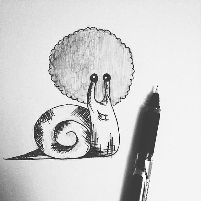 Doodle Photograph - Afro Snail. Because... Well, Actually I by Coral-Leigh Stuart-deLange