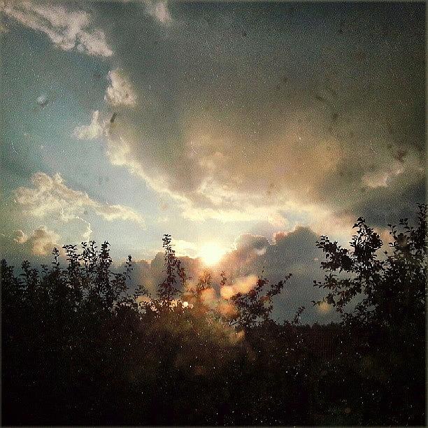 Summer Photograph - After A Thunderstorm Yesterday... #sun by Linandara Linandara