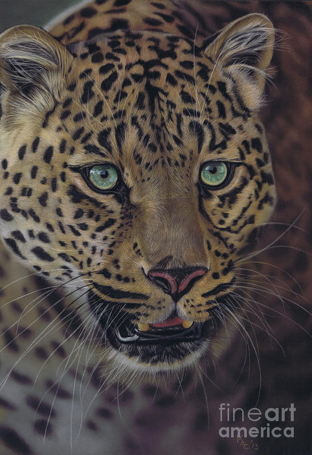 Leopard Pastel - After dark all cats are leopards by Karie-Ann Cooper Leopard Pastel - After dark all cats are leopards by Karie-Ann Cooper