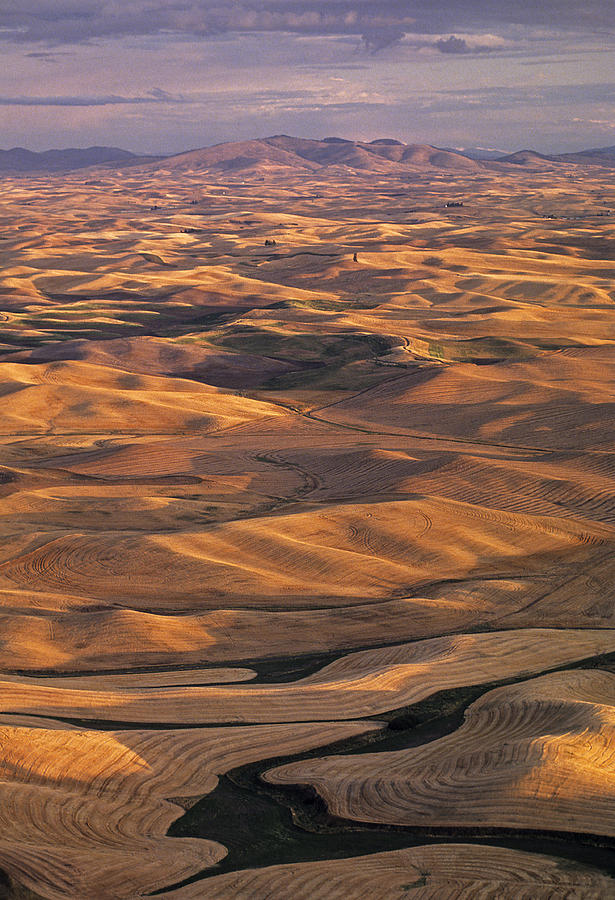 After Harvest from Steptoe Butte Photograph by Doug Davidson