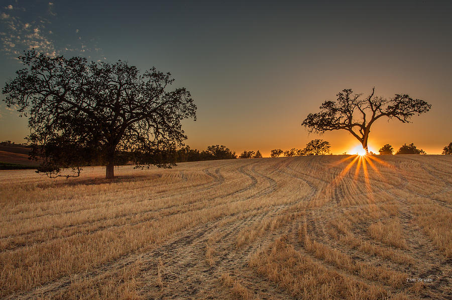 Landscape Photograph - After Harvest Sunset by Tim Bryan
