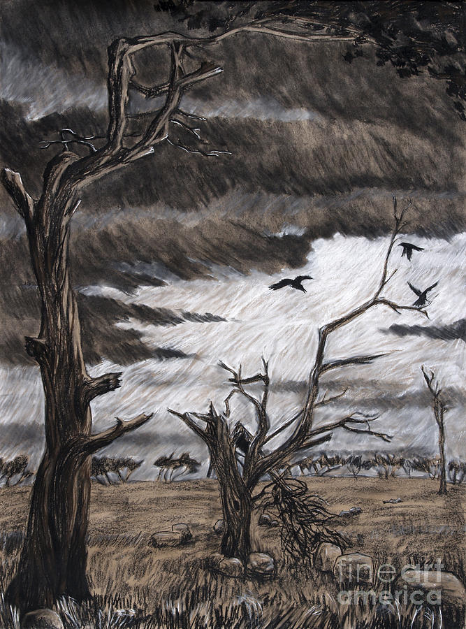 Tree Drawing - After Storm by Philip Tolok